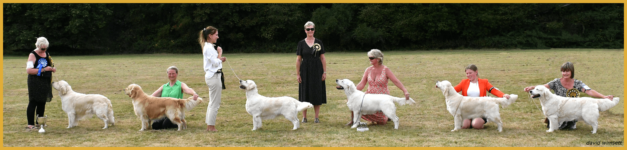 Two women with dogs in a field

Description automatically generated