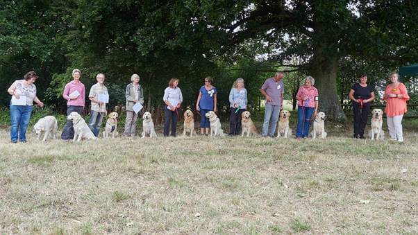 https://photos.smugmug.com/SGRS-Agility-Obedience-Show-2018/i-Jvh89jt/0/b230d509/XL/M12AC20180812_0696-XL.jpg