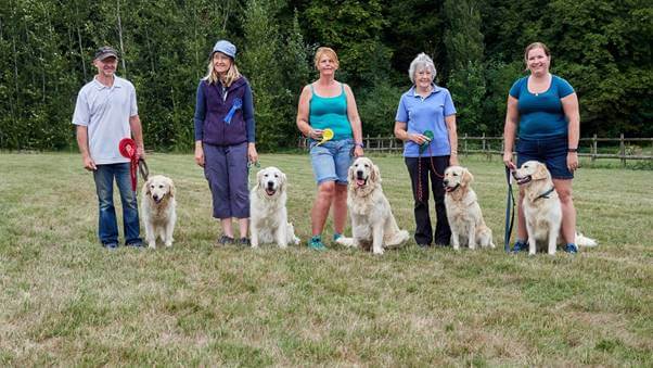 https://photos.smugmug.com/SGRS-Agility-Obedience-Show-2018/i-FNTk6cD/0/ade49f3d/X4/M12AC20180812_0717-X4.jpg