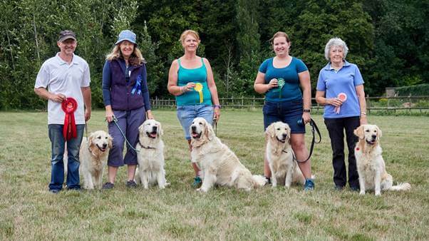 https://photos.smugmug.com/SGRS-Agility-Obedience-Show-2018/i-Ssf7b78/0/2a290e87/X4/M12AC20180812_0724-X4.jpg