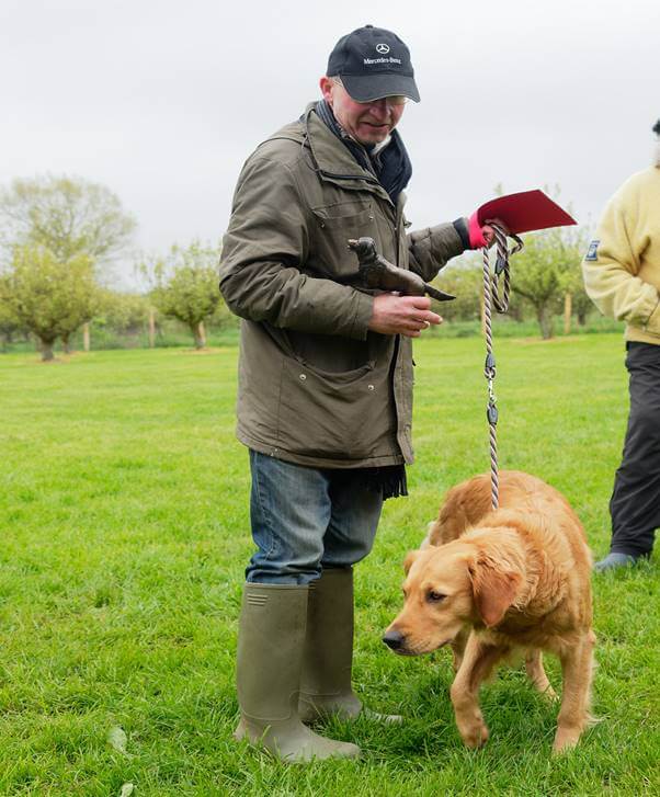 https://photos.smugmug.com/SGRSGunDogTrainingDay2018/i-fJkj26v/0/d31d0213/X3/M12AC20180429_0562-X3.jpg