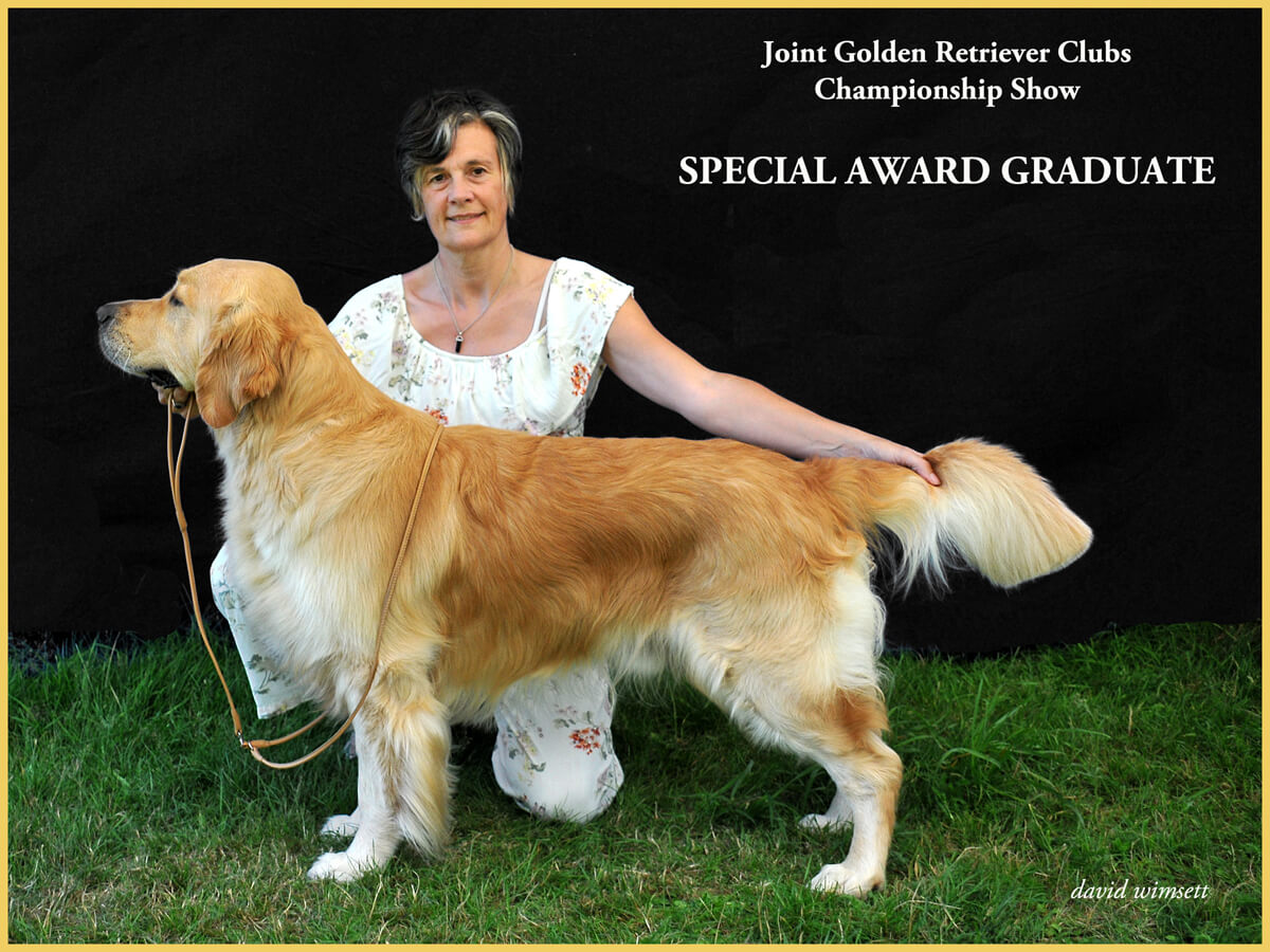 A person kneeling next to a dog Description automatically generated with medium confidence