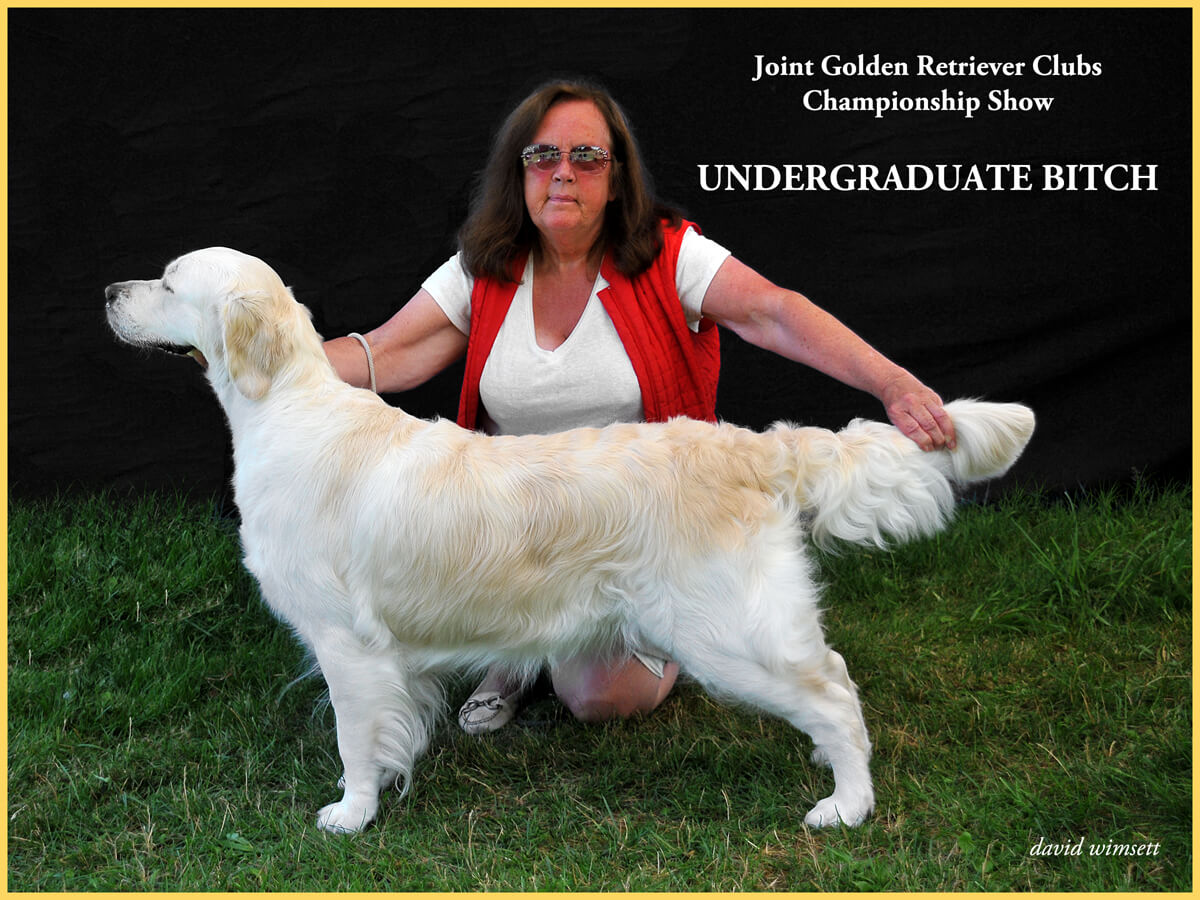 A person kneeling next to a dog Description automatically generated with medium confidence