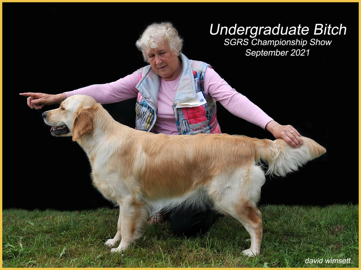 A person holding a dog

Description automatically generated with low confidence