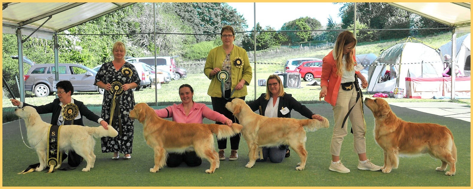 CHAMPIONSHIP SHOW RESULTS Saturday 14th May 2022 Southern Golden Retriever Society pic