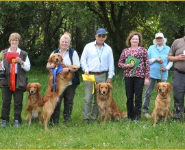 A group of people with dogs Description automatically generated