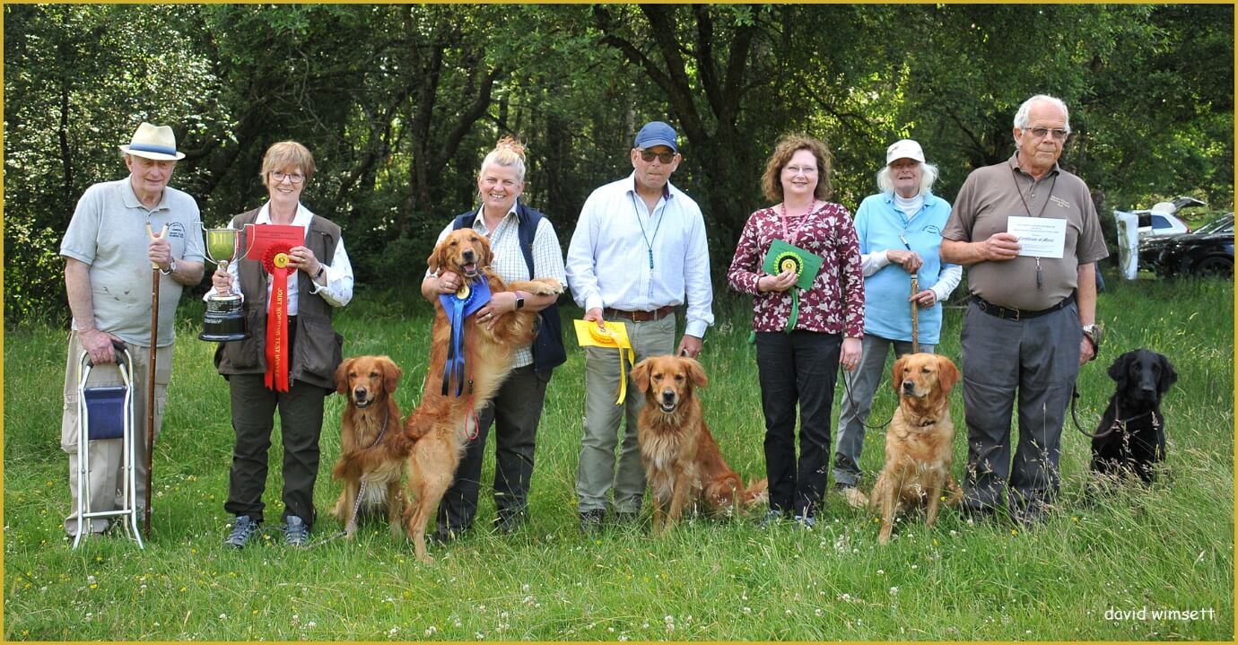 A group of people with dogs Description automatically generated