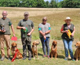 A group of people with dogs Description automatically generated
