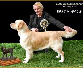 A person standing next to a dog Description automatically generated with medium confidence