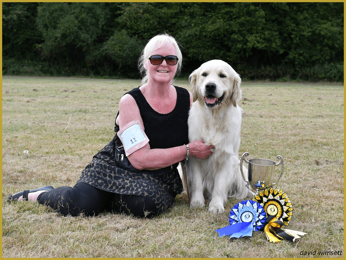 8th September 2023 Open Show Southern Golden Retriever Society