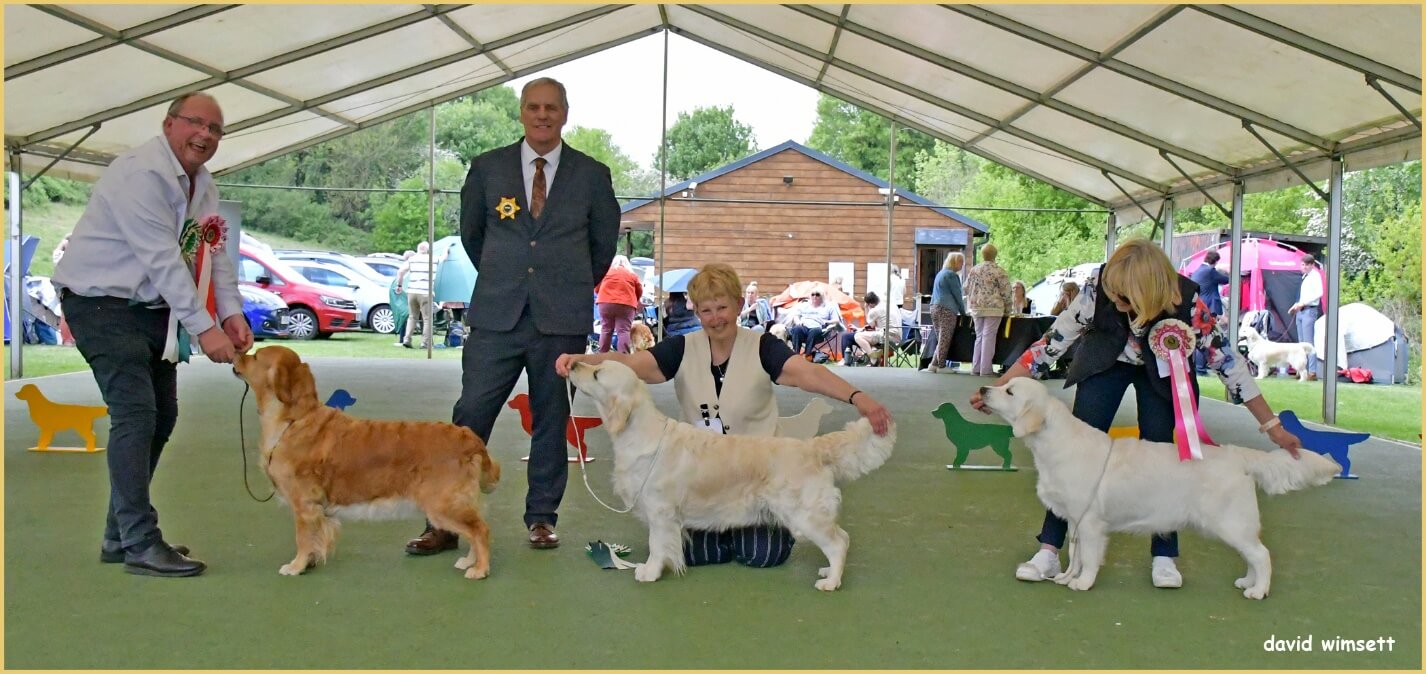 A person and person with dogs under a tent AI-generated content may be incorrect.