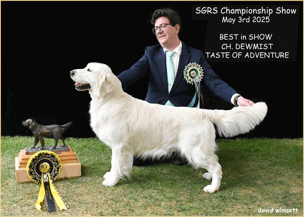 A person in a suit with a dog AI-generated content may be incorrect.