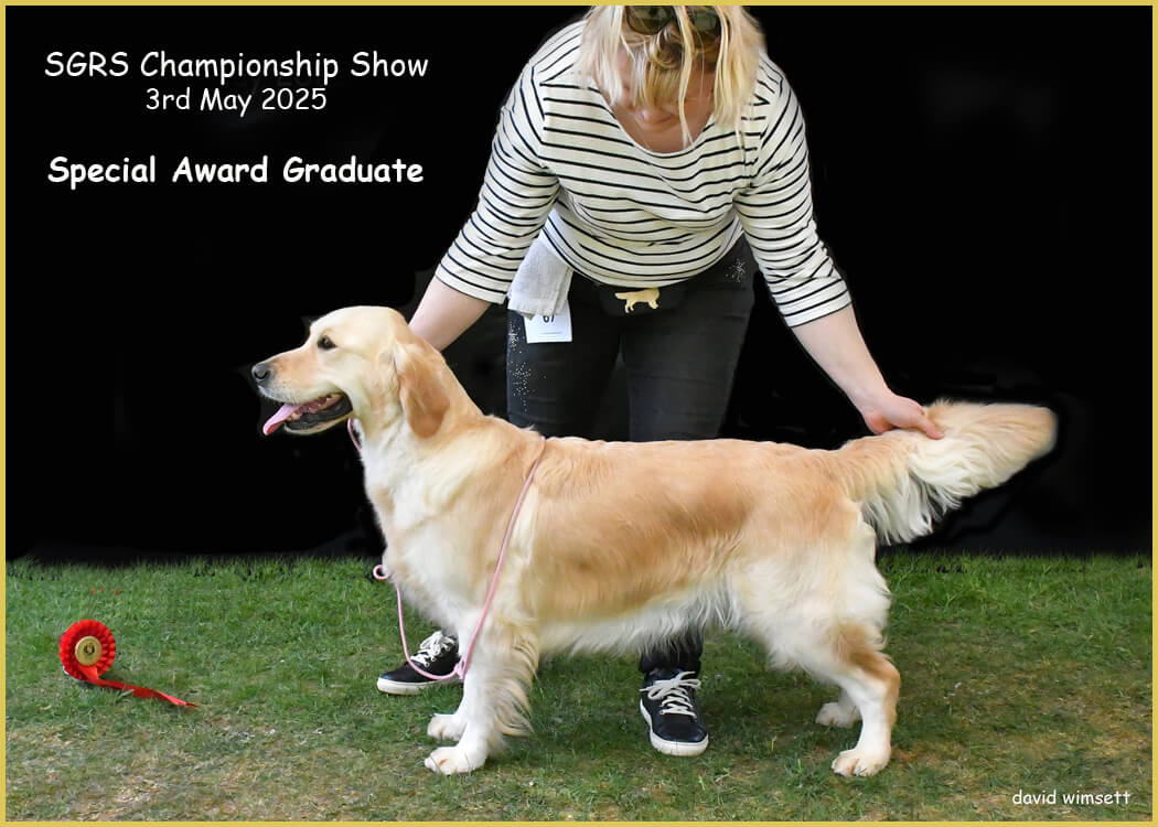 A person with a dog AI-generated content may be incorrect.