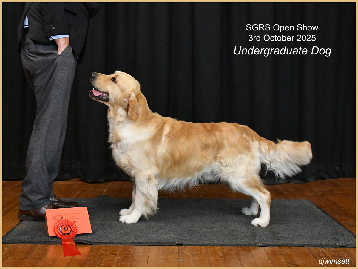 A dog standing on a rug AI-generated content may be incorrect.