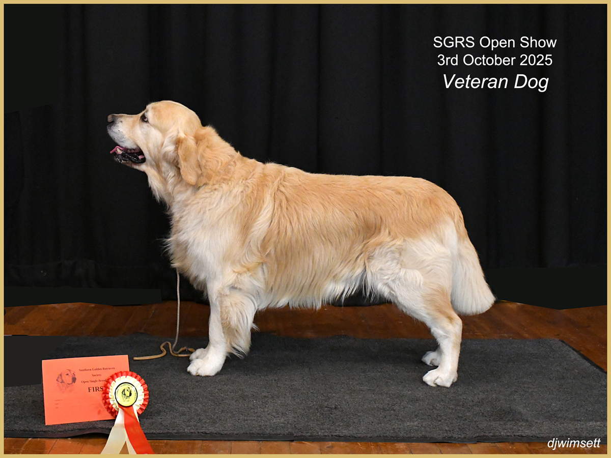 A dog standing on a rug AI-generated content may be incorrect.