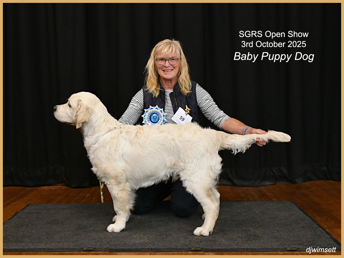 A person holding a dog AI-generated content may be incorrect.