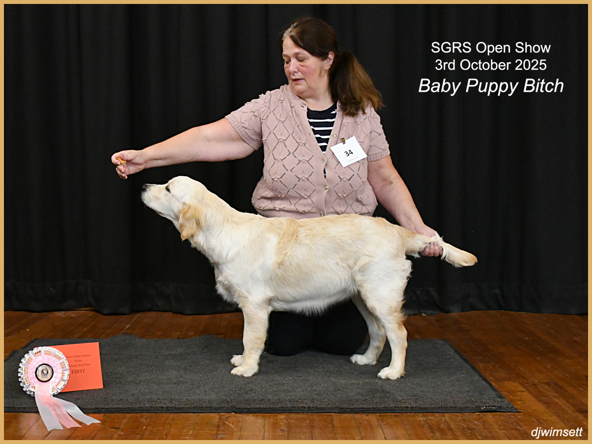 A person holding a dog AI-generated content may be incorrect.