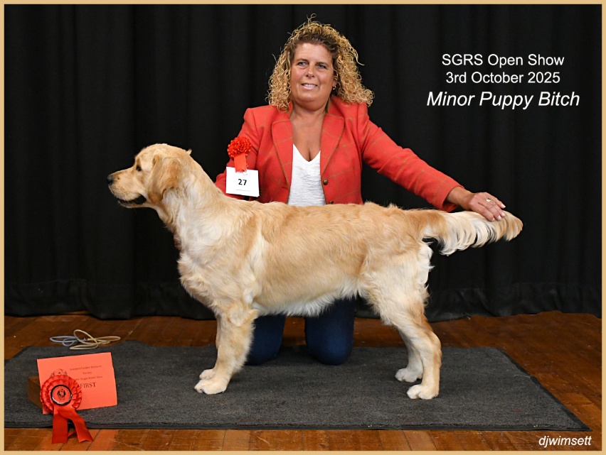 A person holding a dog AI-generated content may be incorrect.