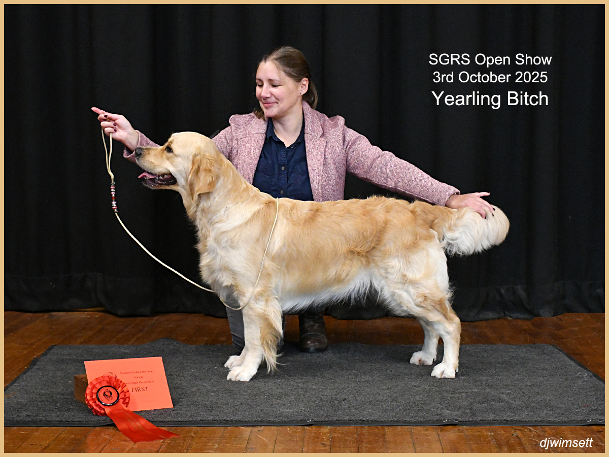 A person holding a dog AI-generated content may be incorrect.