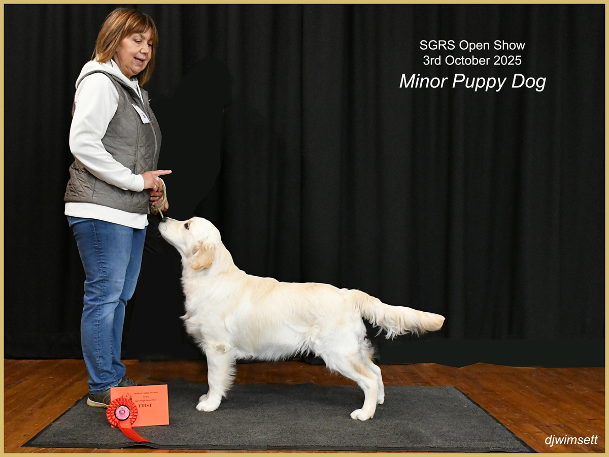 A person standing next to a dog AI-generated content may be incorrect.