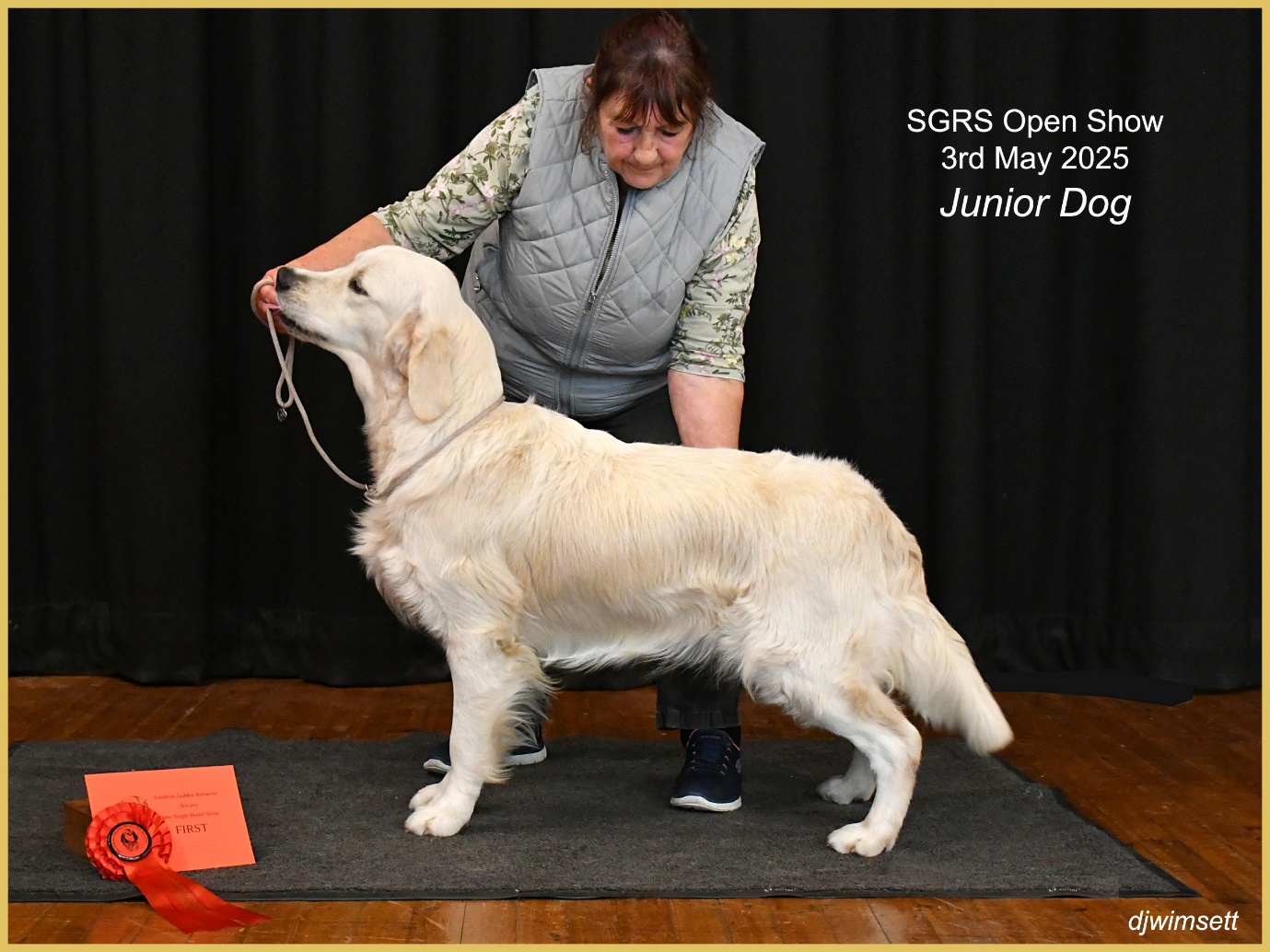 A person standing next to a dog AI-generated content may be incorrect.