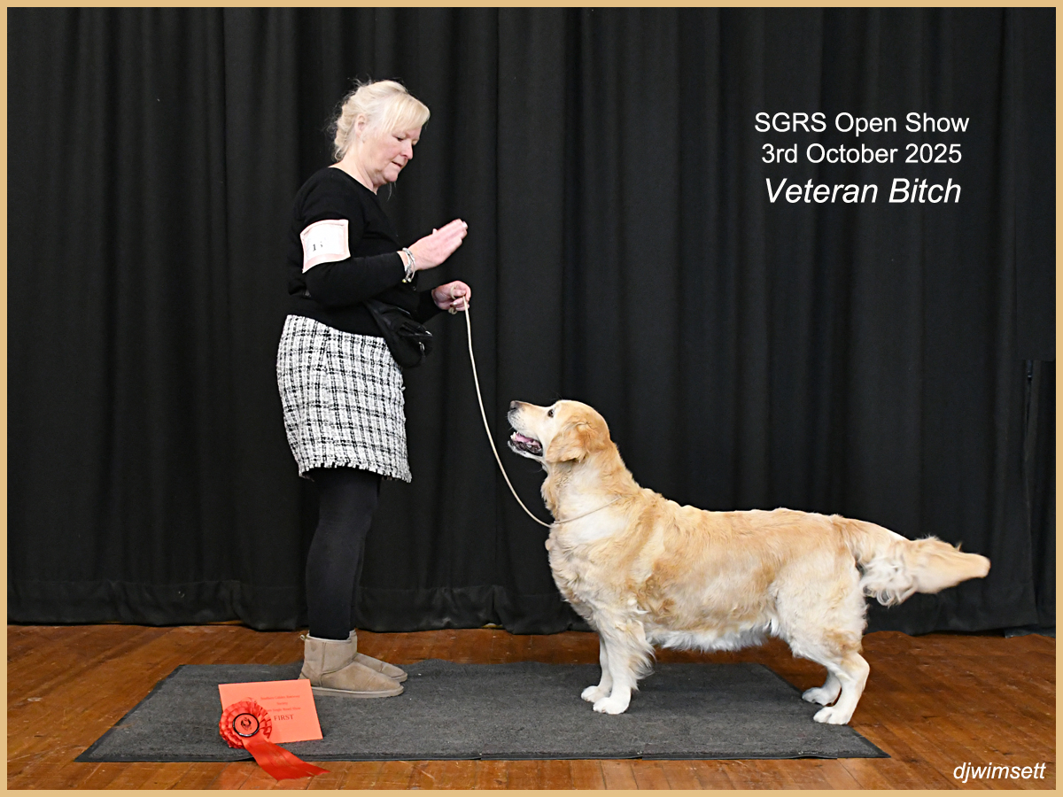 A person standing next to a dog AI-generated content may be incorrect.