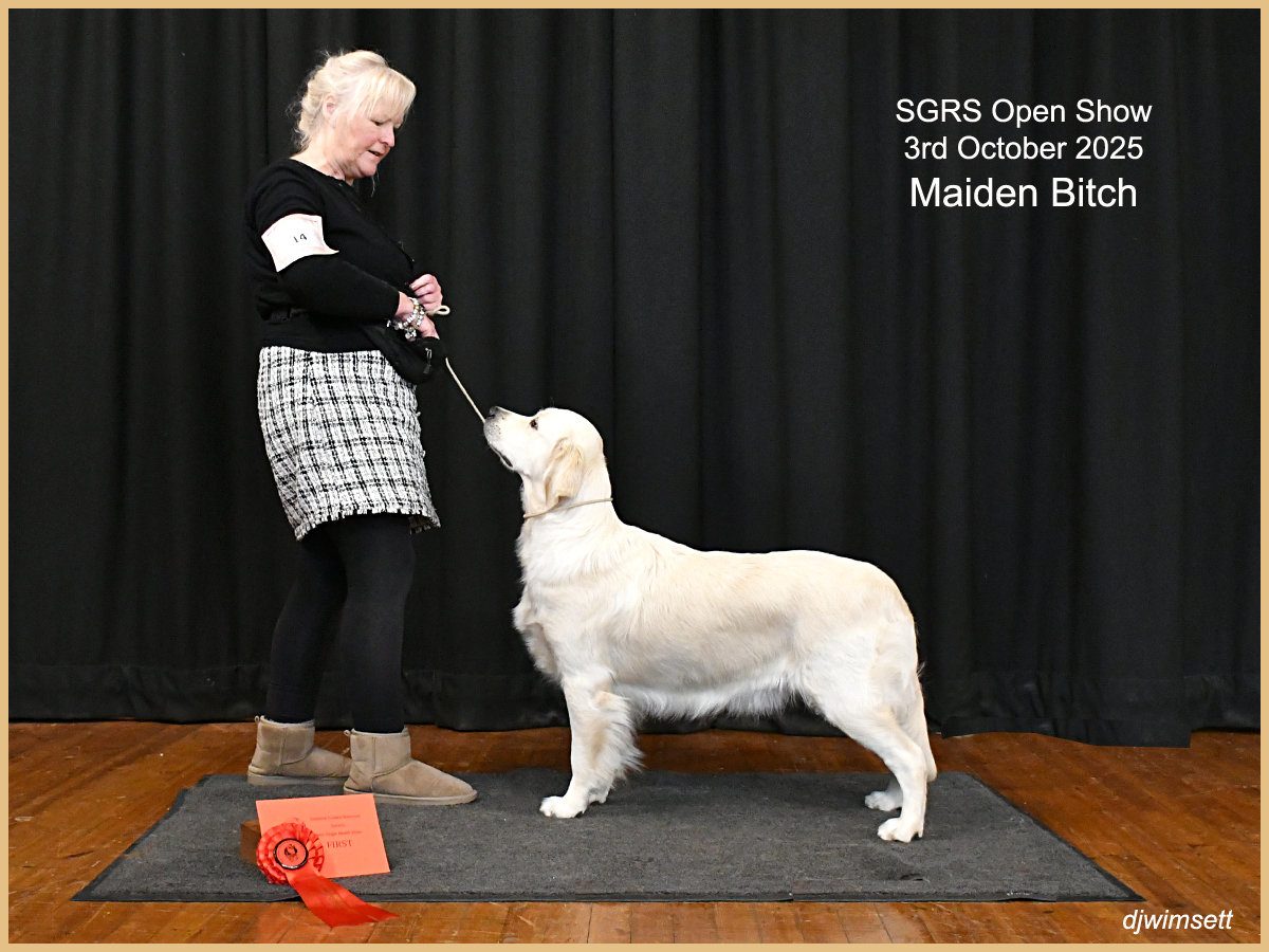 A person standing next to a dog AI-generated content may be incorrect.