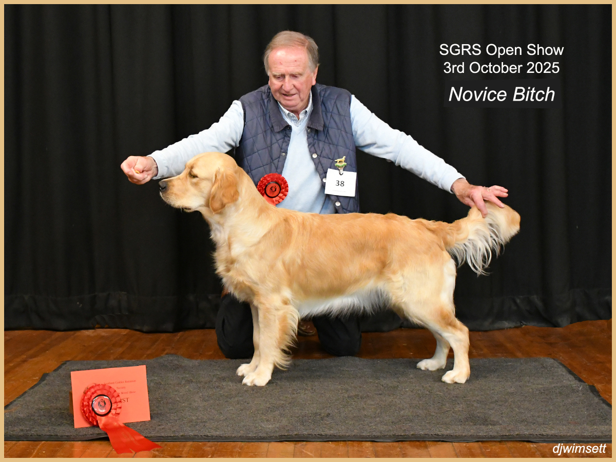 A person standing next to a dog AI-generated content may be incorrect.