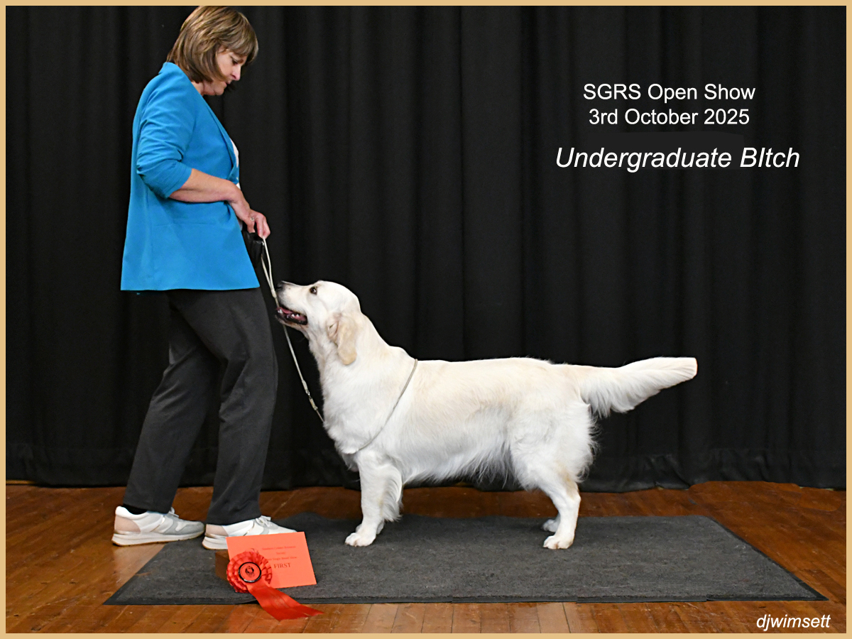 A person standing next to a dog AI-generated content may be incorrect.