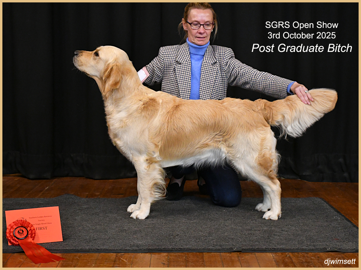 A person with a dog AI-generated content may be incorrect.