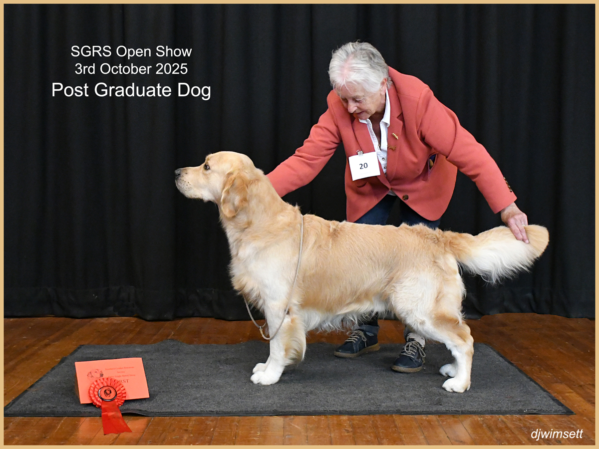 A person with a dog AI-generated content may be incorrect.