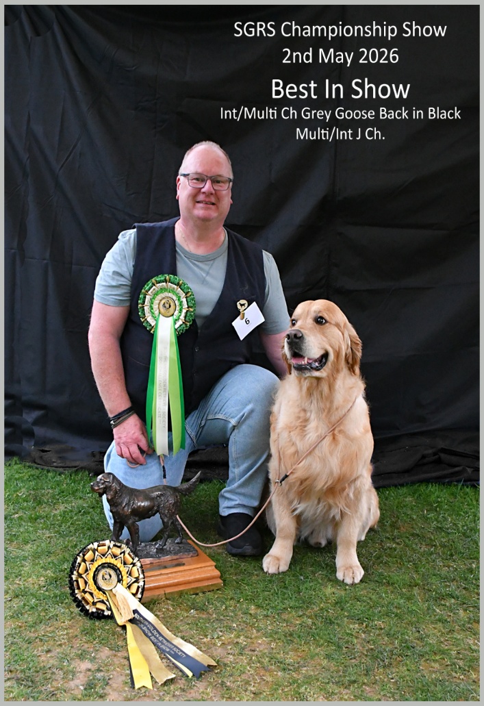 The image shows a dog, presumably a Golden Retriever, standing proudly next to a certificate and a trophy, indicating a successful participation in a dog show.
AI-generated content may be incorrect.