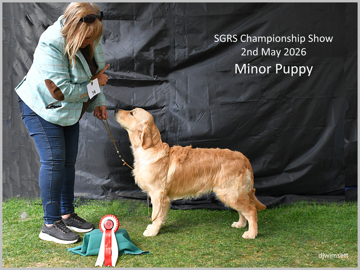 The image shows a woman standing with a golden retriever puppy, likely at a dog show, with a ribbon or certificate in the background.
AI-generated content may be incorrect.