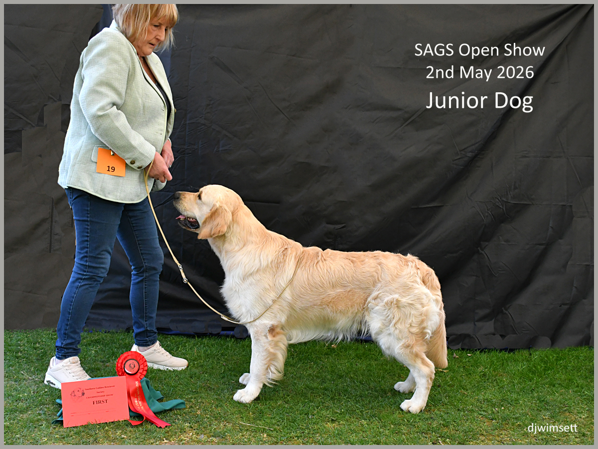 SAGS Open Show AI-generated content may be incorrect.