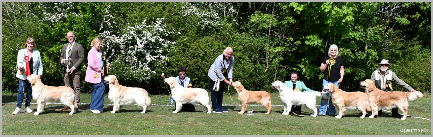 The image shows a group of people standing around, with a variety of people dressed in different colors, and some people holding dogs. AI-generated content may be incorrect.