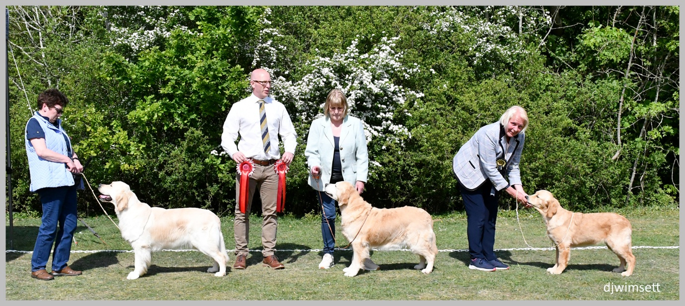 The image shows a group of people standing with a dog, likely a Golden Retriever, on a grassy field under a tree with blooming flowers. AI-generated content may be incorrect.